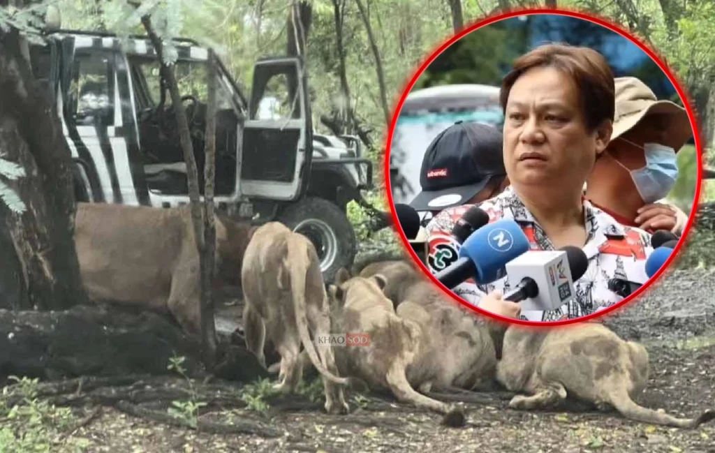 สิงโตขย้ำเจ้าหน้าที่ - sanook