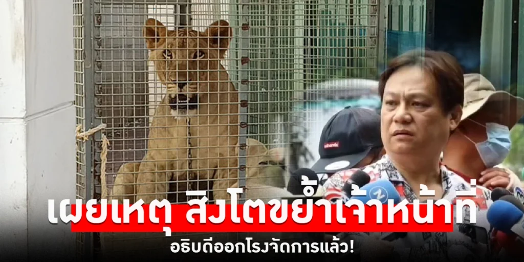 สิงโตขย้ำเจ้าหน้าที่ - sanook