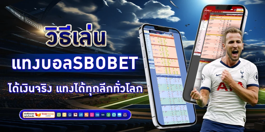 SBOBET - sanook